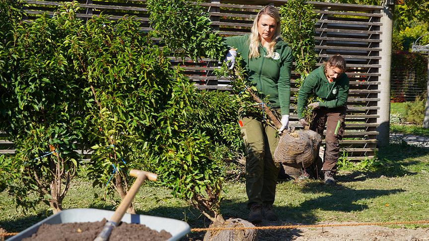 Tanja Dungl und Susanne Leeb pflanzen Hecken als Sichtschutz.