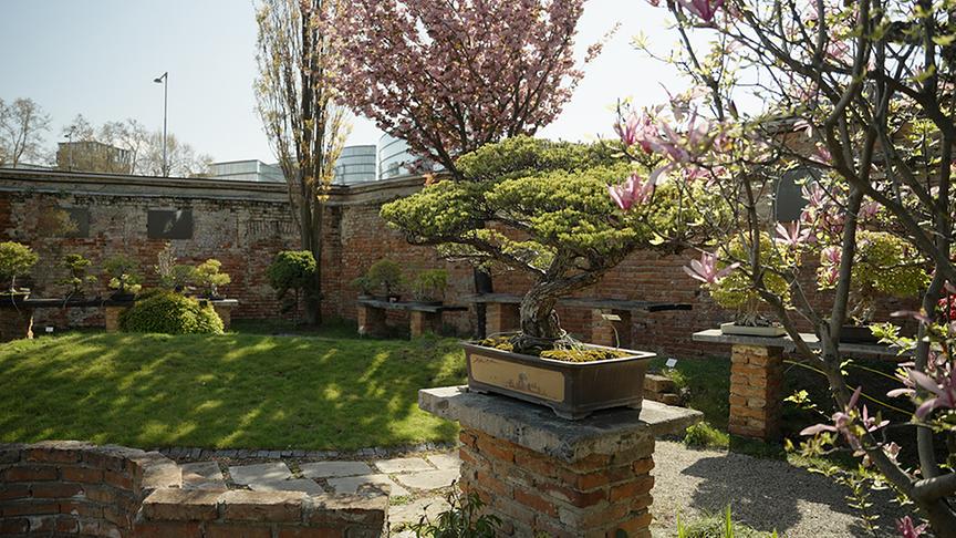 Der Schlossgarten Belvedere