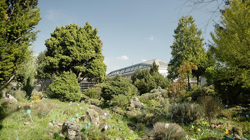 Der Schlossgarten Belvedere