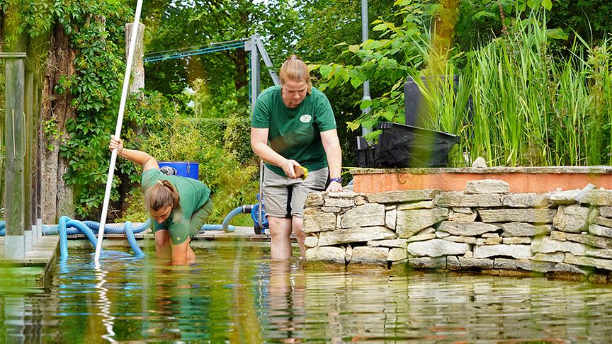 Die Gärtnerinnen auf der Garten Tulln präsentieren den Biopool-Garten.