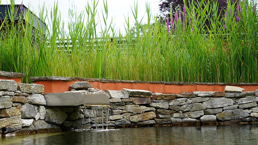 Die Gärtnerinnen auf der Garten Tulln präsentieren den Biopool-Garten.