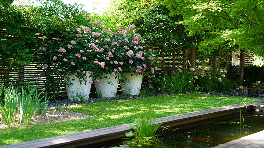 Die Gärtnerinnen auf der Garten Tulln präsentieren den Chillout-Garten.