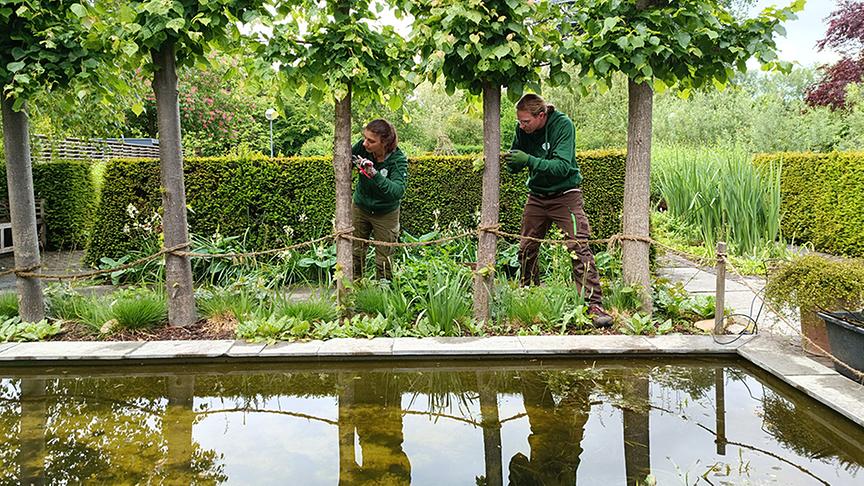 Auf der Garten Tulln wird am "Englischen Garten" gearbeitet