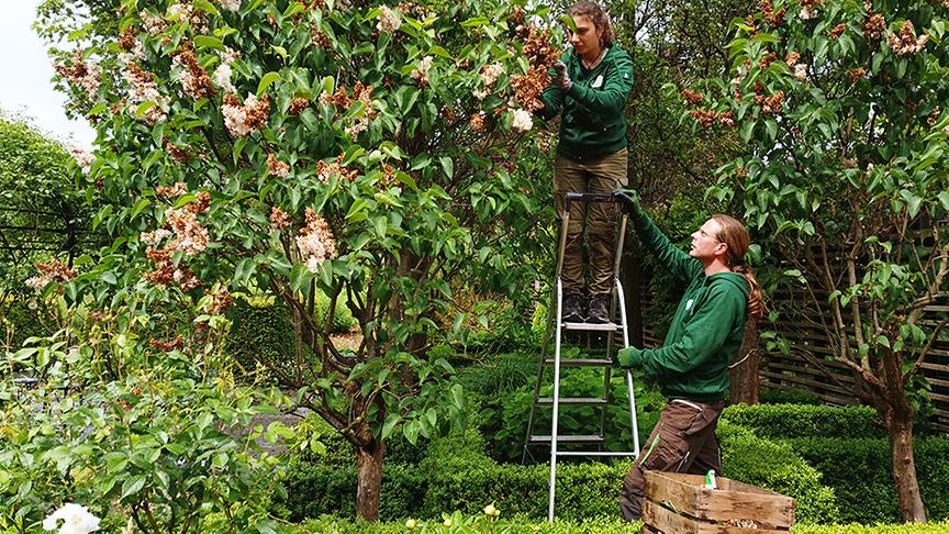 Auf der Garten Tulln wird am "Englischen Garten" gearbeitet