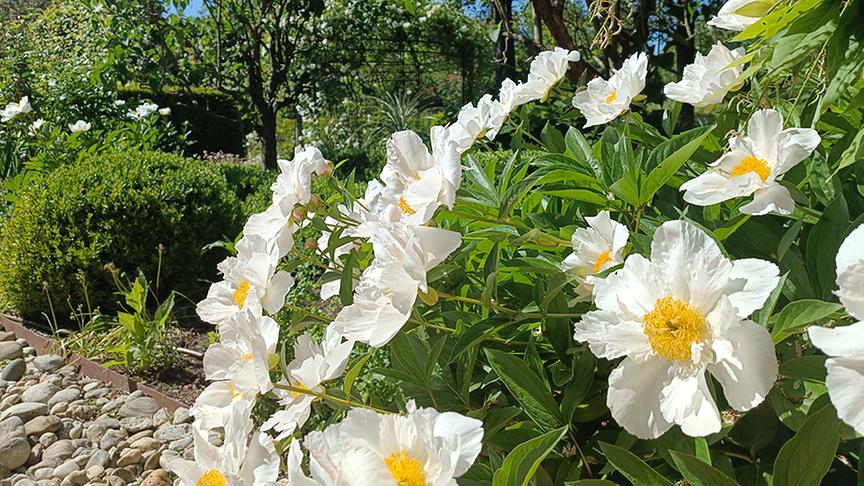 Auf der Garten Tulln wird am "Englischen Garten" gearbeitet