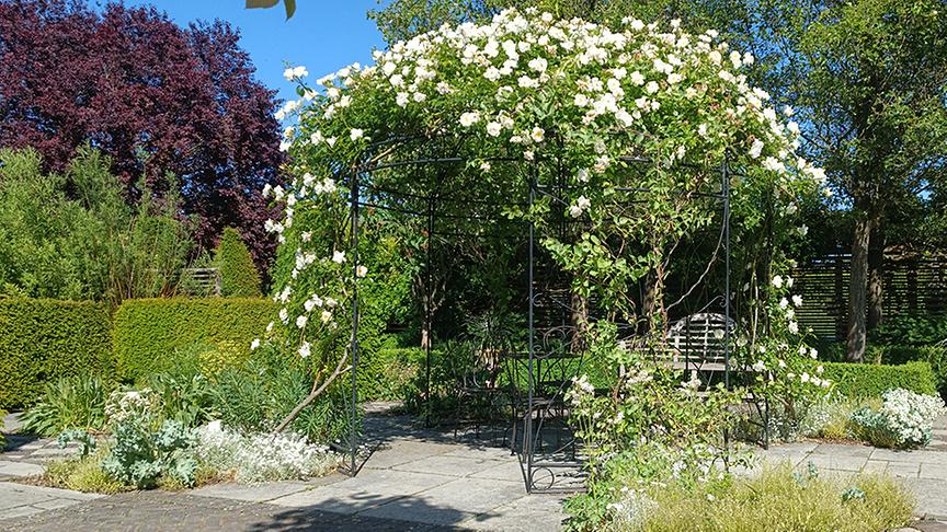 Auf der Garten Tulln wird am "Englischen Garten" gearbeitet