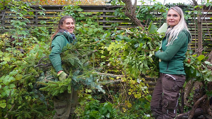 © Foto: Natur im Garten/ Leopold Mayrhofer Auf der Garten Tulln entsteht eine "wilde Ecke" für Tiere.