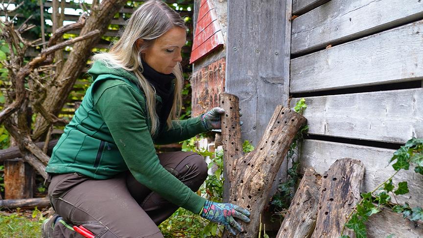 © Foto: Natur im Garten/ Leopold Mayrhofer Auf der Garten Tulln entsteht eine "wilde Ecke" für Tiere.