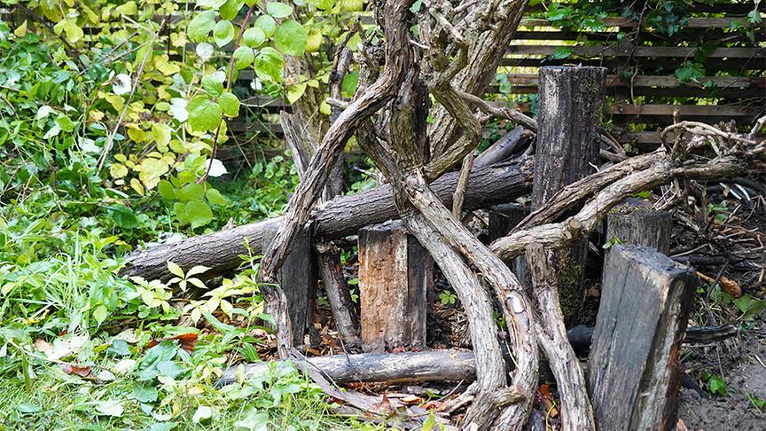 © Foto: Natur im Garten/ Leopold Mayrhofer Auf der Garten Tulln entsteht eine "wilde Ecke" für Tiere.