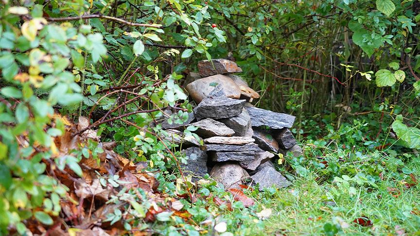 © Foto: Natur im Garten/ Leopold Mayrhofer Auf der Garten Tulln entsteht eine "wilde Ecke" für Tiere.