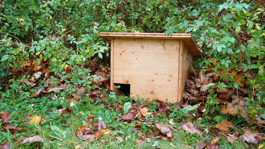 © Foto: Natur im Garten/ Leopold Mayrhofer Auf der Garten Tulln entsteht eine "wilde Ecke" für Tiere.