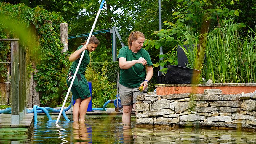 Die Gärtnerinnen auf der Garten Tulln präsentieren den Biopool-Garten.