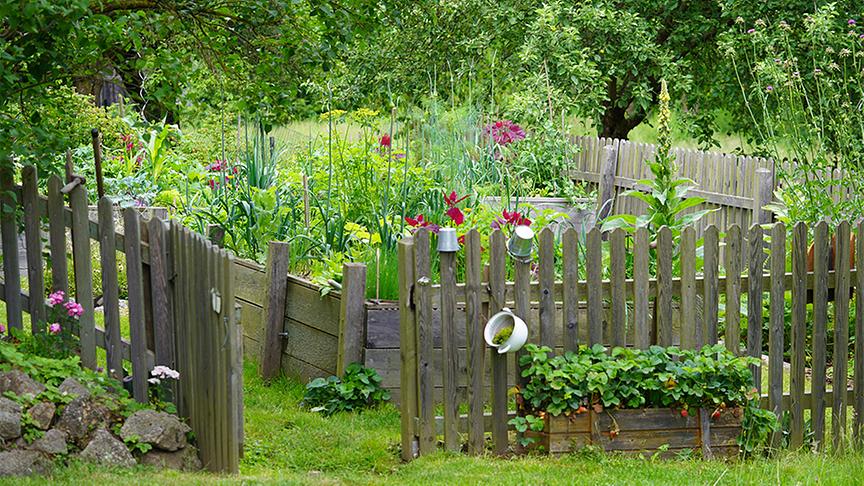 Im Gartenparadies von Gitti Watzl