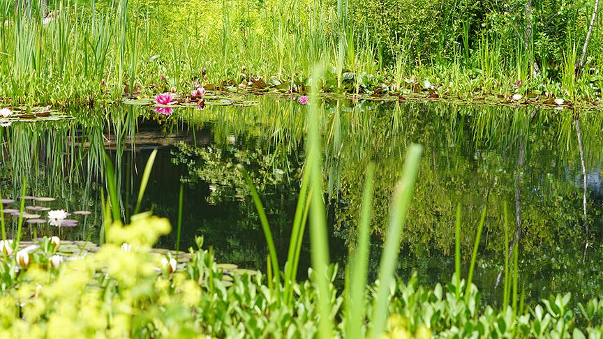 Im Gartenparadies von Gitti Watzl