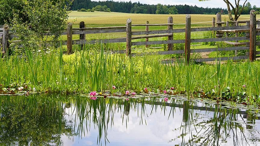 Im Gartenparadies von Gitti Watzl