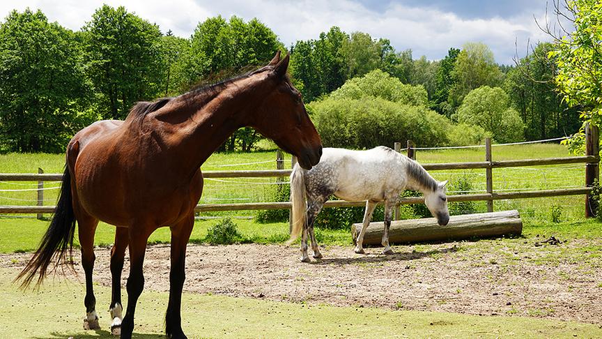 Im Gartenparadies von Gitti Watzl