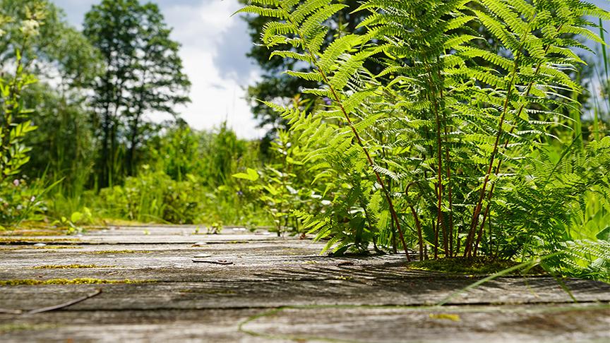 Im Gartenparadies von Gitti Watzl