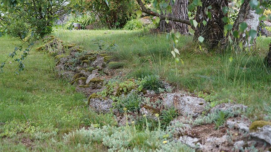 Im Gartenparadies von Gitti Watzl