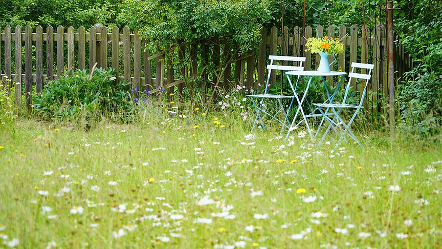 Im Gartenparadies von Gitti Watzl