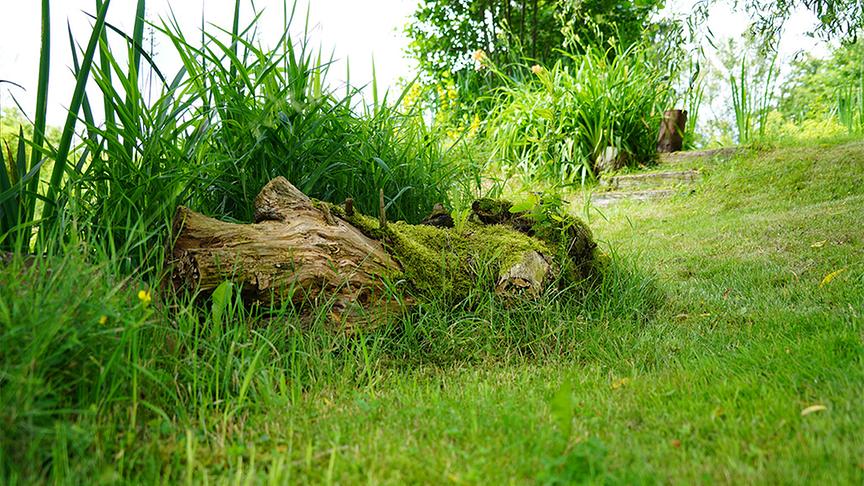 Im Gartenparadies von Gitti Watzl