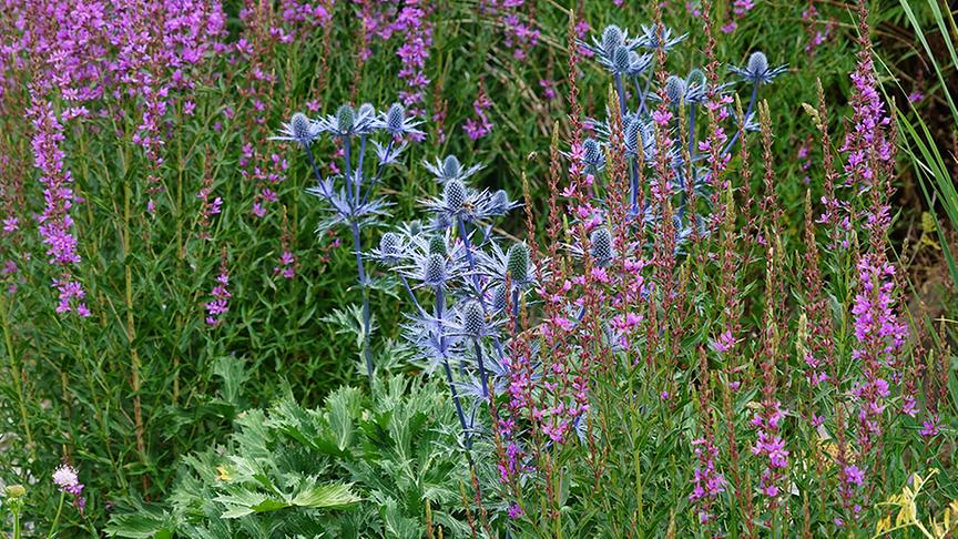 Einblick in den Gastgarten