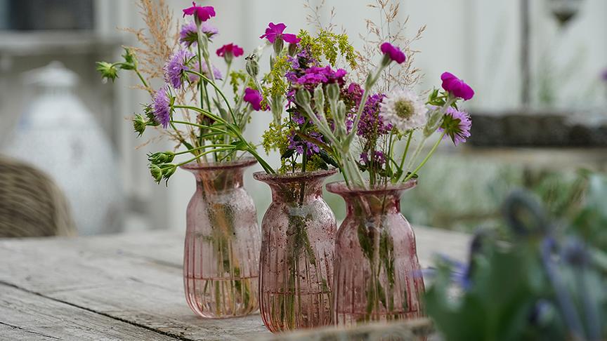 Einblick in den Gastgarten