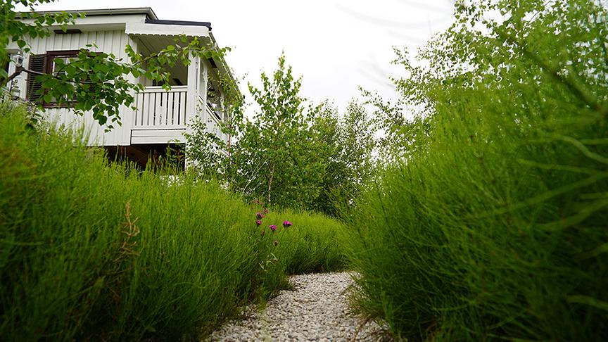 Einblick in den Gastgarten