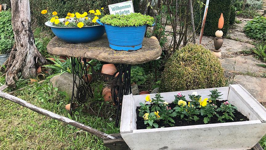 Karl Ploberger zu Besuch im Sonnenkräuterhof von Gertraude Schmidt.