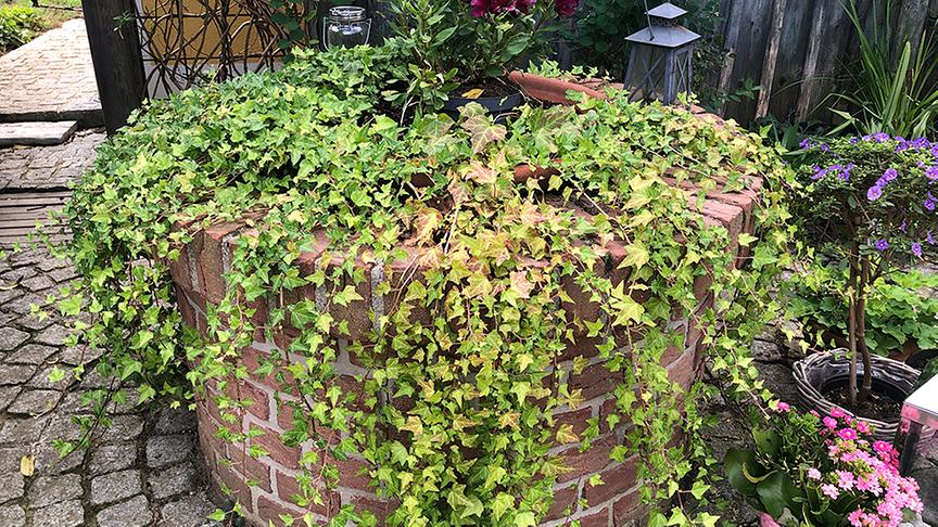 Blick in den Gastgarten