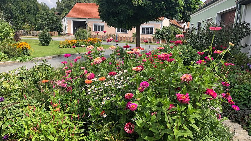 Blick in den Gastgarten