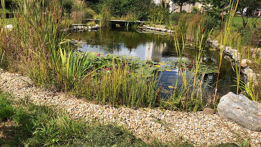 Blick in den Gastgarten
