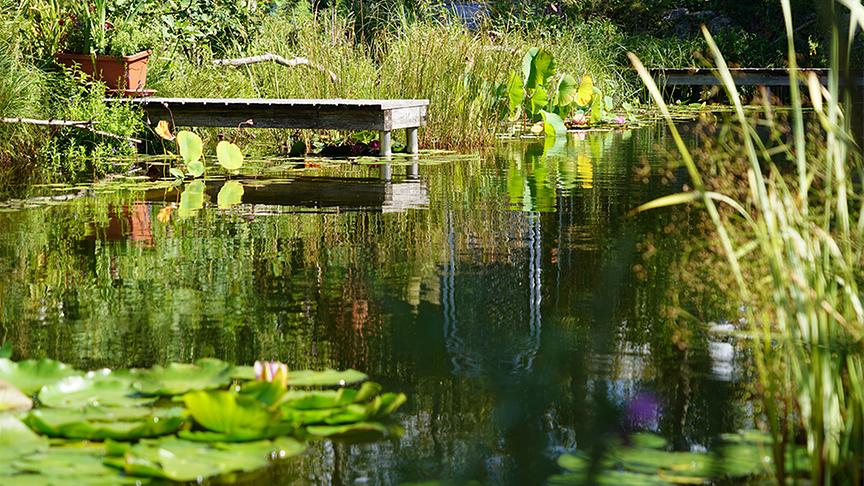 © Natur im Garten/ Leopold Mayrhofer Zu Besuch im Garten von Andreas Peschik