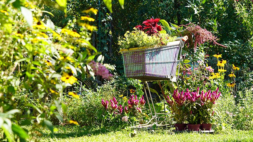 © Natur im Garten/ Leopold Mayrhofer Zu Besuch im Garten von Andreas Peschik