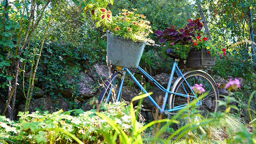 © Natur im Garten/ Leopold Mayrhofer Zu Besuch im Garten von Andreas Peschik