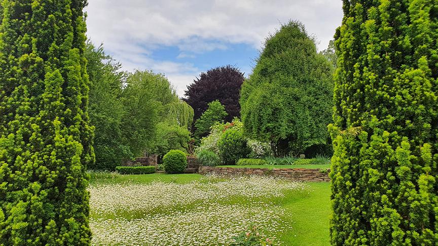 Zu Besuch im Garten von Barbara Kupfersberger