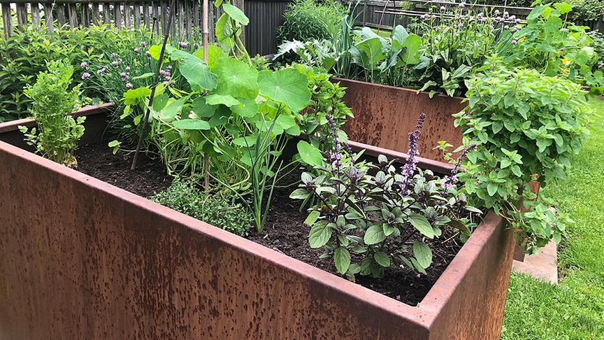 Zu Besuch im Garten von Barbara Kupfersberger