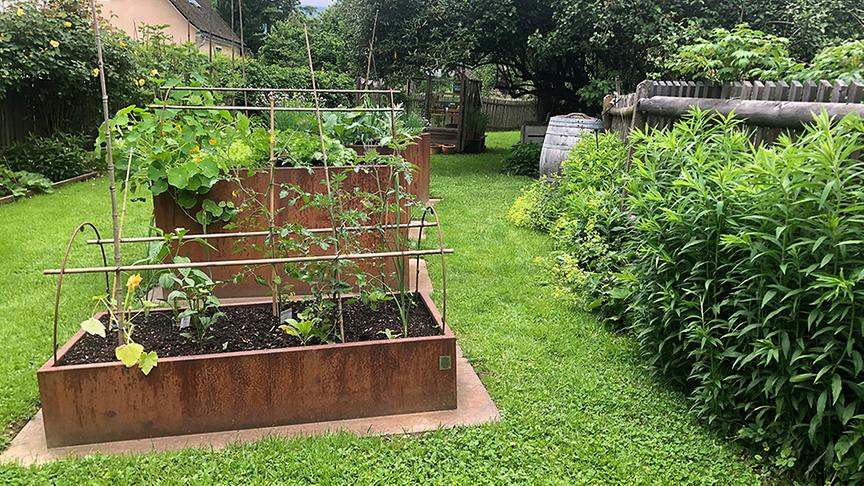 Zu Besuch im Garten von Barbara Kupfersberger