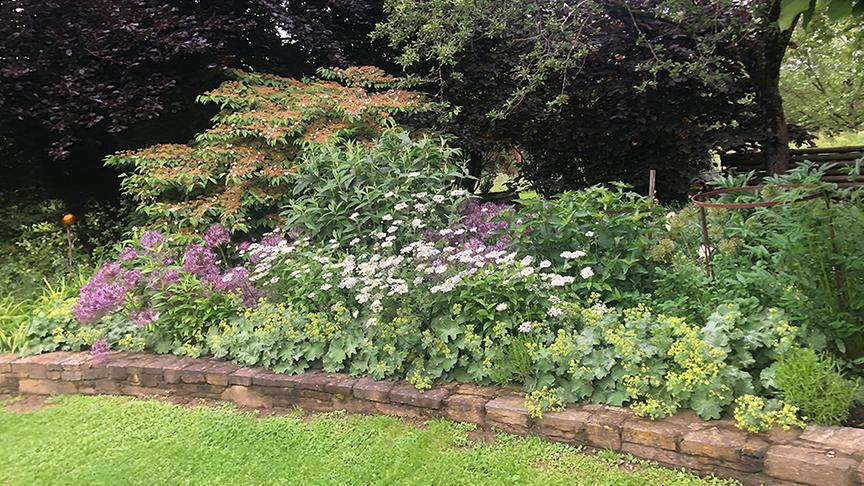 Zu Besuch im Garten von Barbara Kupfersberger