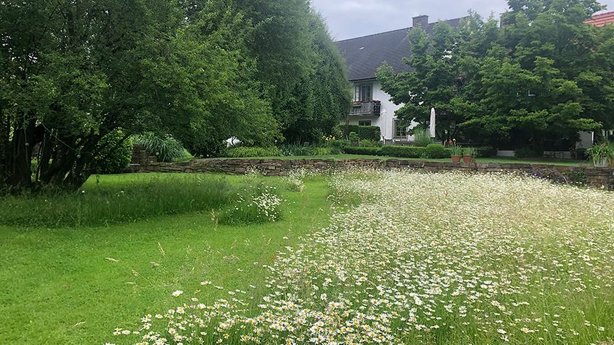 Zu Besuch im Garten von Barbara Kupfersberger