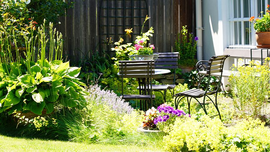 Karl Ploberger besucht den Garten von Barbara Schmidt