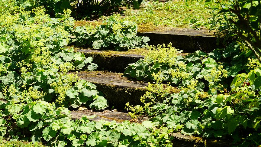 Karl Ploberger besucht den Garten von Barbara Schmidt
