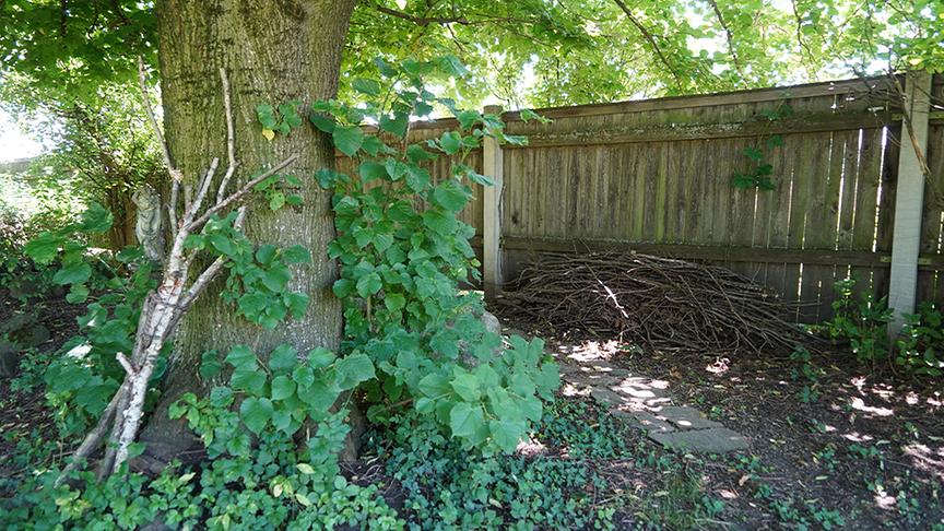 Karl Ploberger besucht den Garten von Barbara Schmidt
