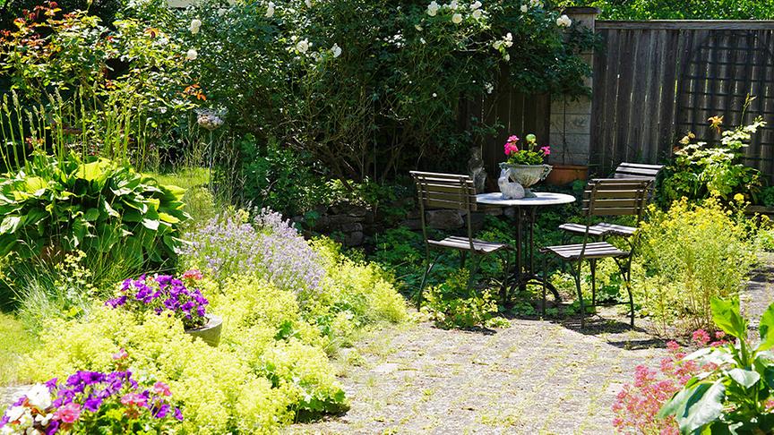 Karl Ploberger besucht den Garten von Barbara Schmidt