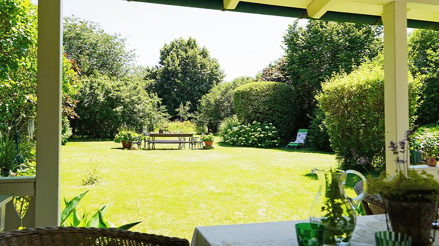 Karl Ploberger besucht den Garten von Barbara Schmidt