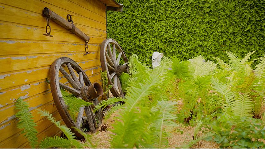 Zu Besuch im Garten von Berta Scherzer