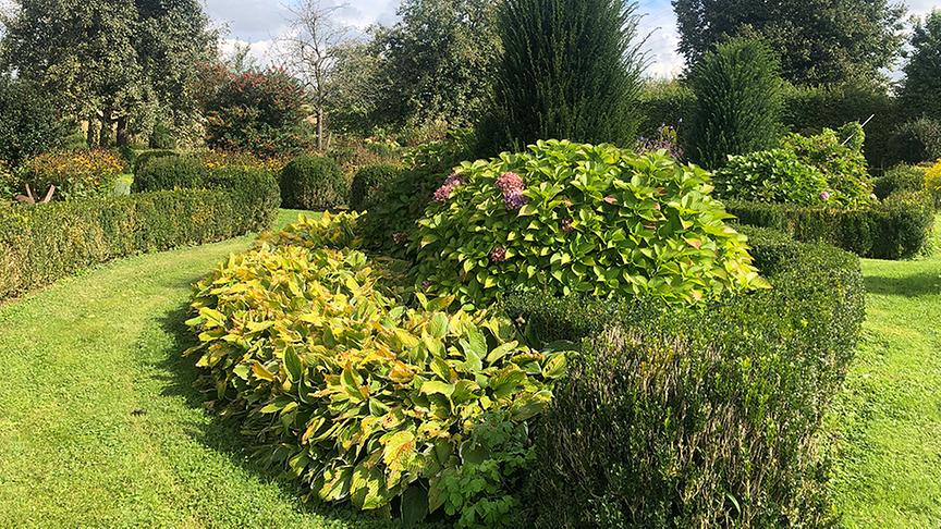 © Natur im Garten/ Lena Weithofer Im Barockgarten von Christian Kis