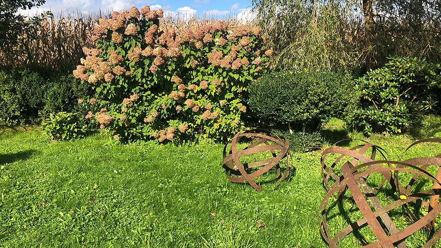 © Natur im Garten/ Lena Weithofer Im Barockgarten von Christian Kis