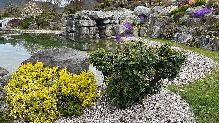 Zu Besuch bei Daniel Katzian in Schönbühel an der Donau