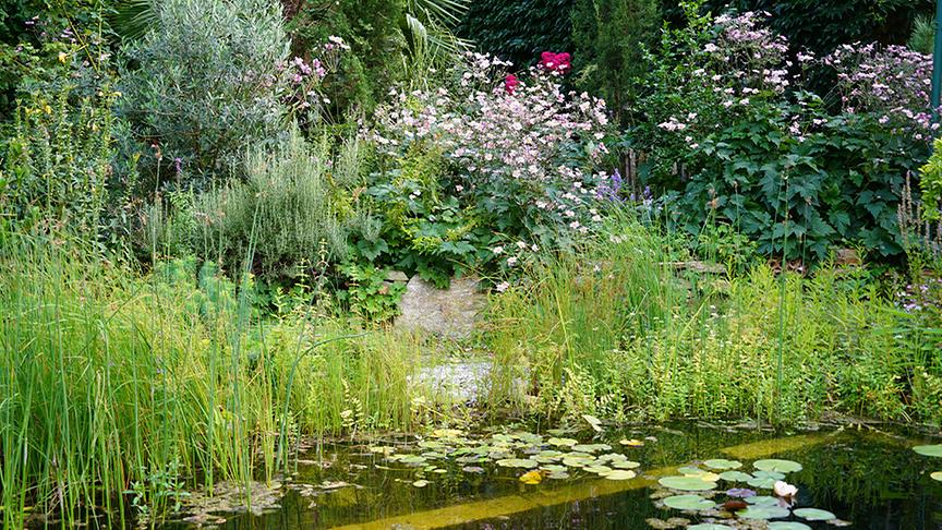 Zu Besuch im Garten von Dominic Urban