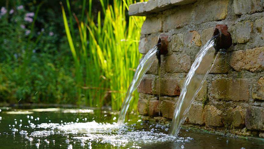 Zu Besuch im Garten von Dominic Urban